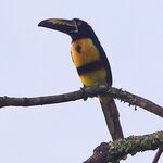 Photo taken by Joyce C