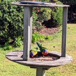 Photo taken by Daniel S