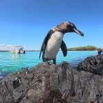 Photo taken by Thomas L