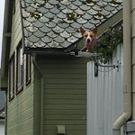 Photo taken by Michelle J