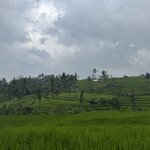 Photo taken by Mariah C