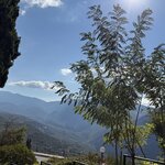 Photo taken by Margy C