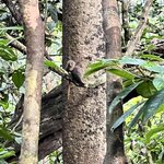 Photo taken by Sarah C