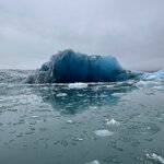 Photo taken by Anna A