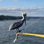 Photo taken by Alexandre M