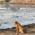 Photo taken by Joanne B