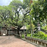 Photo taken by Jacqui O