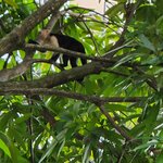 Photo taken by Esther B