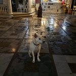 Photo taken by Michelle B