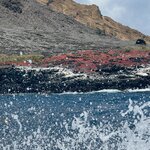 Photo taken by Thomas L