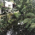 Photo taken by Michelle D