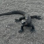 Photo taken by Gary W