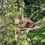 Photo taken by Sangeetha R