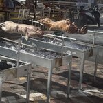 Photo taken by Loren E