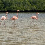 Photo taken by Amanda B