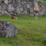 Photo taken by Brian L