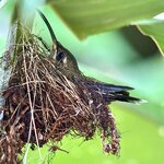 Photo taken by Ben B