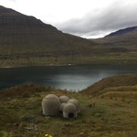 Checking out Tvísöngur, a really neat sound sculpture | Photo taken by Sarah C