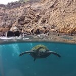 Photo taken by Richard P