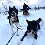 Photo taken by Nikki S