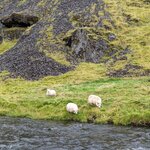 Photo taken by Debbie B