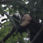 Photo taken by Dawne D