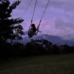 Photo taken by Narasimhachar P