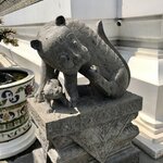 Photo taken by Shaula L