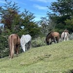 Photo taken by Yelena L