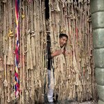 Photo taken by Lori S