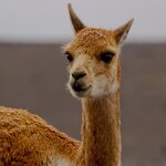 Photo taken by Sabine V