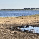 Photo taken by rhonda c