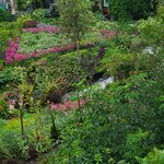 Photo taken by Tamara N