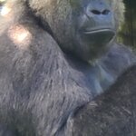 Photo taken by Laura R