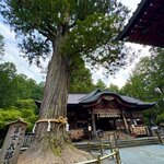 Photo taken by Mallory A