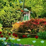 Photo taken by Nancy M