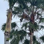 Photo taken by Julie G