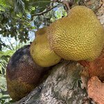 Photo taken by Rod S