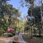 Photo taken by Bailey W