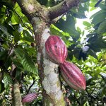 Photo taken by Cindy R