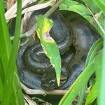 Photo taken by Maggie K