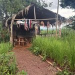 Photo taken by Jose C