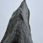 Photo taken by Danielle P