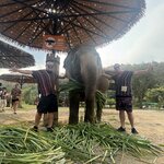 Photo taken by Brandon P