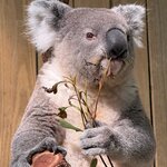 Photo taken by Shannon R