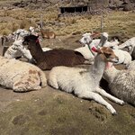 Photo taken by Sheri F