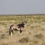 Photo taken by Joaquin M