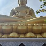 Photo taken by Suzanne W