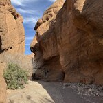 Photo taken by Mary Kate C