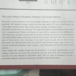 Photo taken by Kirti P